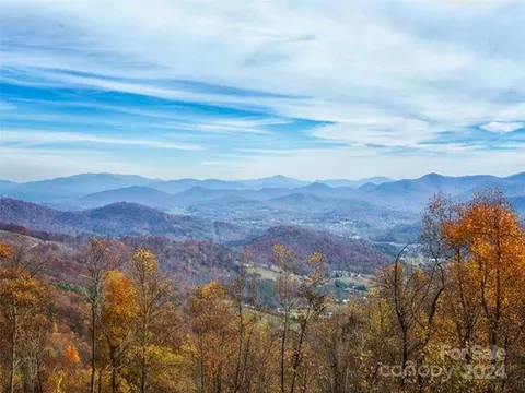 99999 Curtis Creek 11 Rd #11, Candler, NC 28715