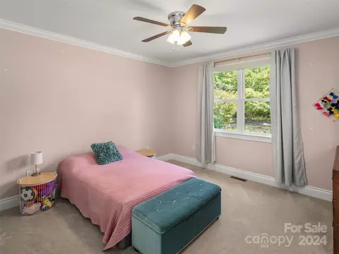 4 Walnut Ln, Fletcher, NC 28732 photo 30