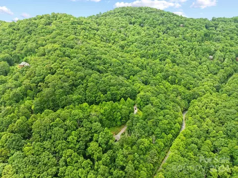 62 Chestnut Forest Rd, Fairview, NC 28730 photo 41