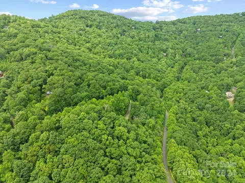 62 Chestnut Forest Rd, Fairview, NC 28730 photo 44