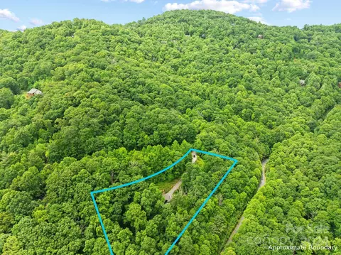 62 Chestnut Forest Rd, Fairview, NC 28730 photo 40