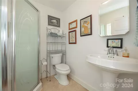 269 E Main St, Brevard, NC 28712 photo 35