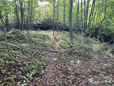 000 Old Chestnut Mountain Rd, Green Mountain, NC 28740