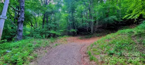 00 Everidge Dr, Canton, NC 28716