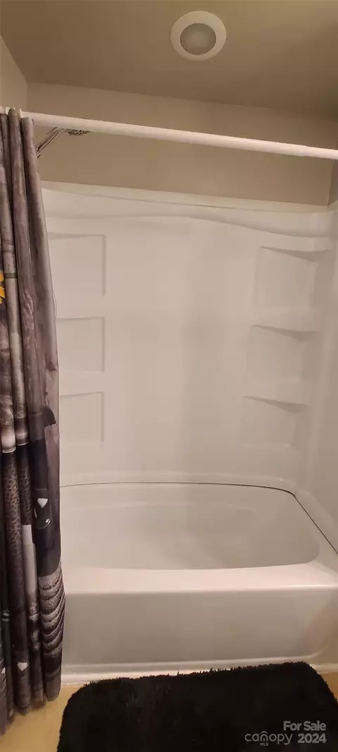 Bath - 108 Mill St, Biscoe, NC 27209 photo 3 of 3