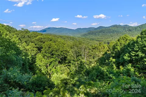 133 Nuthatch C29 Ln #C29, Black Mountain, NC 28711