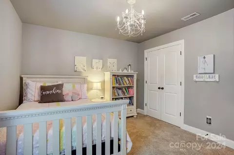 19716 Schooner Dr, Cornelius, NC 28031 photo 22
