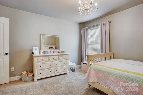 19716 Schooner Dr, Cornelius, NC 28031 photo 21