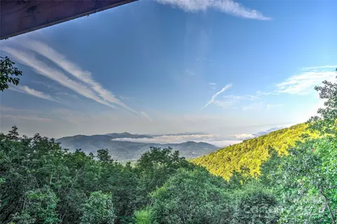 Exterior - 375 Daly Dr, Clyde, NC 28721 photo 5 of 11