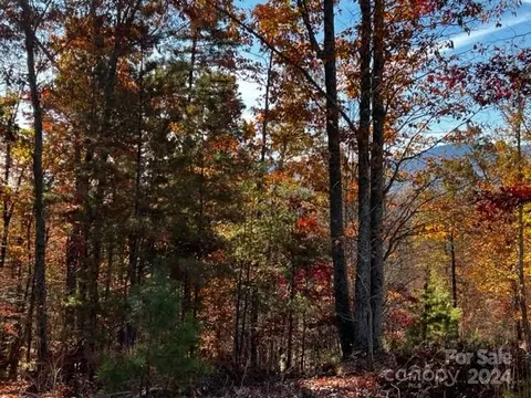 Parkway North Road, Mill Spring, NC 28756