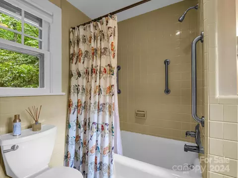 256 Vineyard Rd, Tryon, NC 28782 photo 16