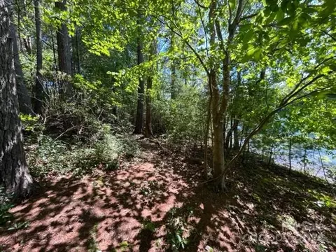 5124 Lighthouse Ct, Morganton, NC 28655 photo 10
