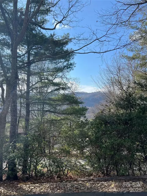 16 Cedar Dr, Mills River, NC 28759 photo 8