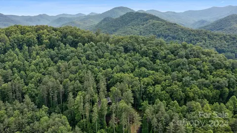 39 Elms Rst, Cullowhee, NC 28723 photo 45