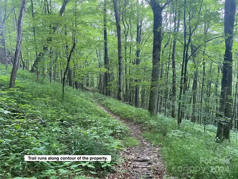 Hanging Rock Road, Mars Hill, NC 28754