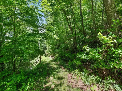 Eli Ridge Road, Clyde, NC 28721 photo 15