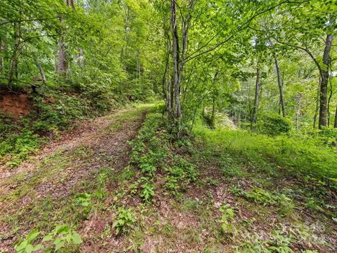 Eli Ridge Road, Clyde, NC 28721 photo 18
