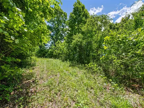 Eli Ridge Road, Clyde, NC 28721 photo 13