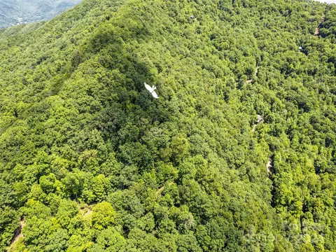 Eli Ridge Road, Clyde, NC 28721 photo 11