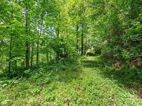 Eli Ridge Road, Clyde, NC 28721 photo 20