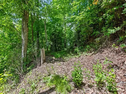 Eli Ridge Road, Clyde, NC 28721 photo 16