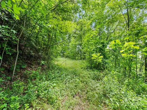 Eli Ridge Road, Clyde, NC 28721 photo 19