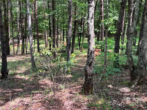 000 Mcdaniel 23 Ct #23, Lake Lure, NC 28746