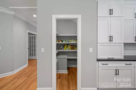 18847 Dembridge Dr, Davidson, NC 28036 photo 15