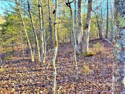 0 Rock Ridge Rd, Mill Spring, NC 28756 photo 4