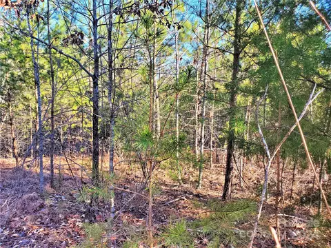 0 Rock Ridge Rd, Mill Spring, NC 28756 photo 3