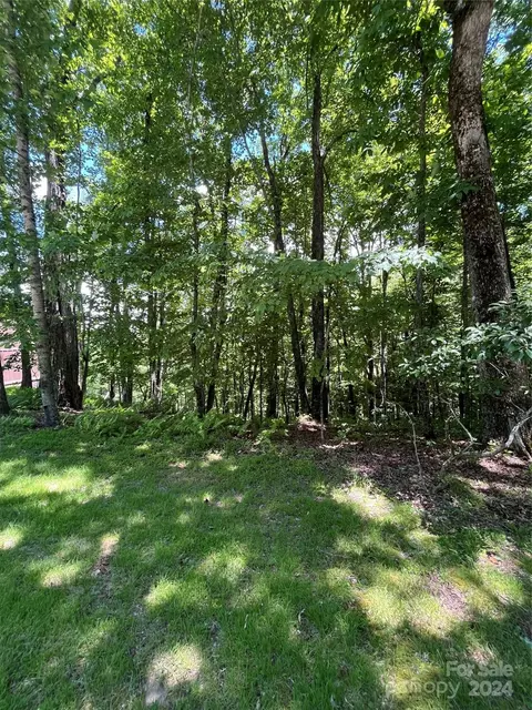 9999 Usdasdi 00221 Dr #002/21, Brevard, NC 28712