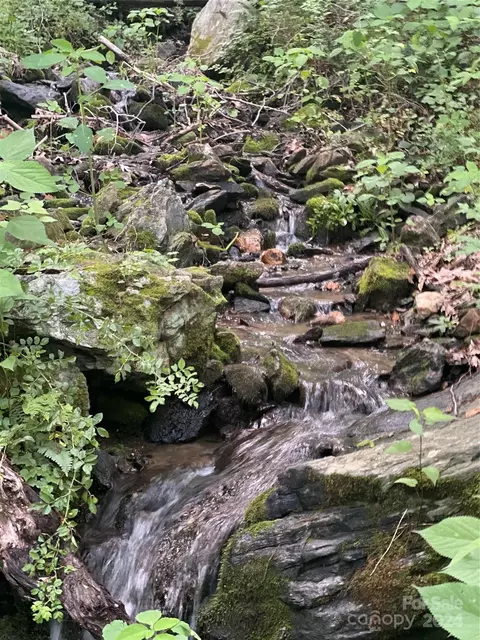 Mountain Glen Road, Canton, NC 28716