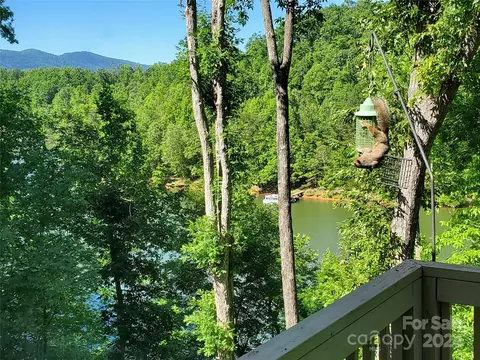 1379 Mountain Pkwy, Mill Spring, NC 28756 photo 6