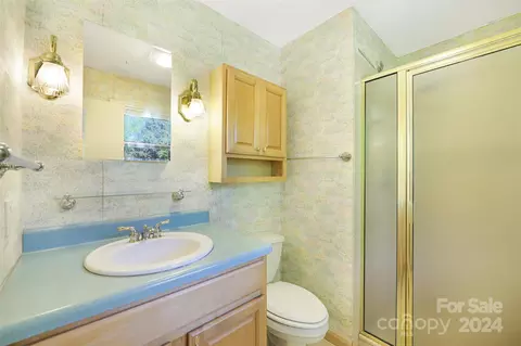 223 Oak Park Dr, Clyde, NC 28721 photo 31
