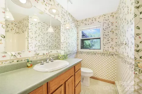 223 Oak Park Dr, Clyde, NC 28721 photo 34