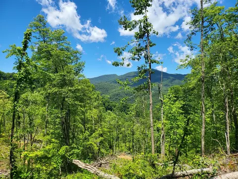 Ellijay Road, Franklin, NC 28734 photo 7