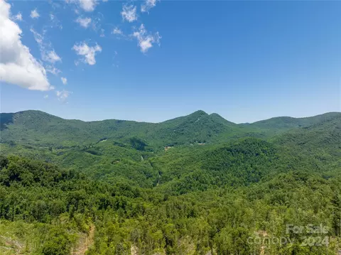 Ellijay Road, Franklin, NC 28734 photo 8