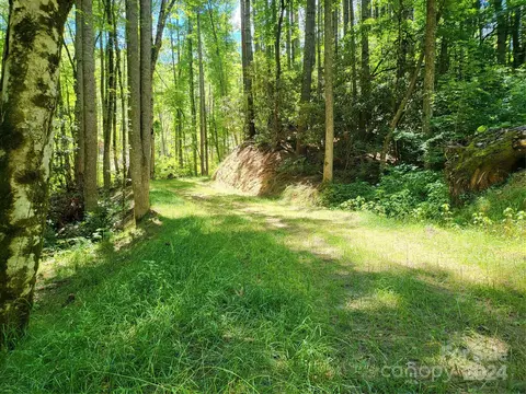 Ellijay Road, Franklin, NC 28734 photo 4
