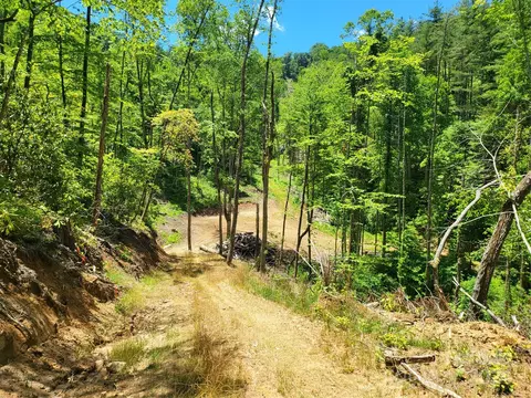 Ellijay Road, Franklin, NC 28734 photo 9