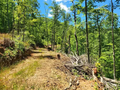 Ellijay Road, Franklin, NC 28734 photo 6