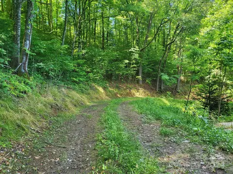 Ellijay Road, Franklin, NC 28734 photo 12