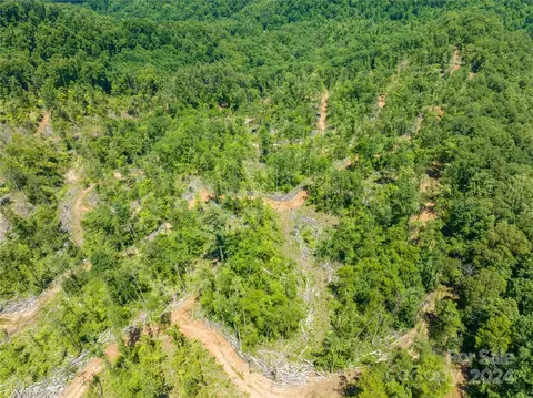Ellijay Road, Franklin, NC 28734 photo 13