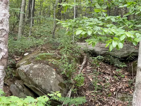 0000 Lytle Cove Rd, Swannanoa, NC 28778