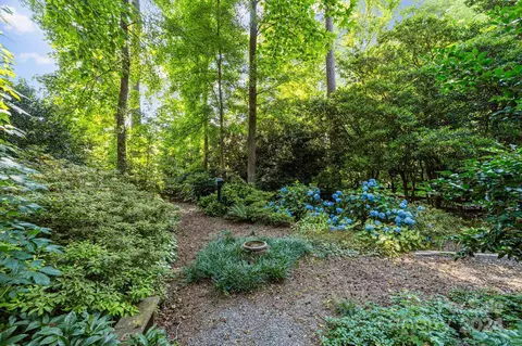 536 Pine Rd, Davidson, NC 28036 photo 41