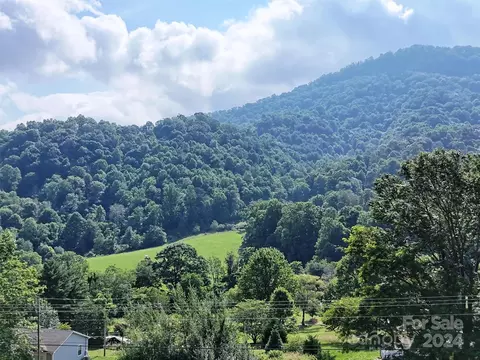 00000 Rush Fork Rd, Clyde, NC 28721 photo 12
