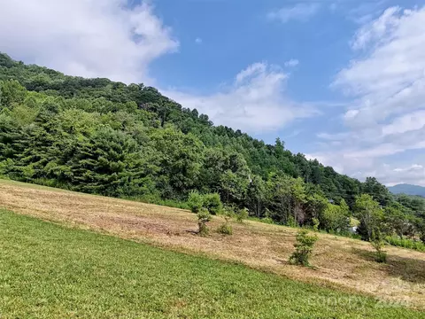 00000 Rush Fork Rd, Clyde, NC 28721 photo 5