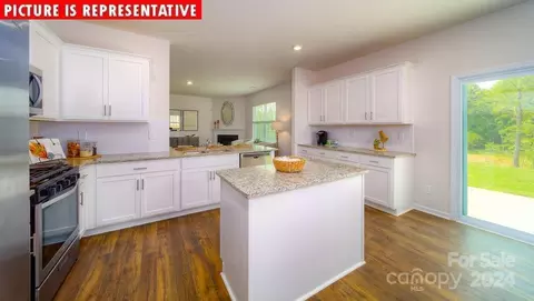 10961 Tuff Ln, Davidson, NC 28036 photo 13