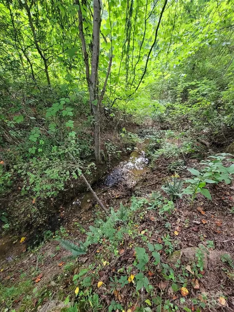 5739 Nc Hwy 9 Hwy, Mill Spring, NC 28756 photo 36