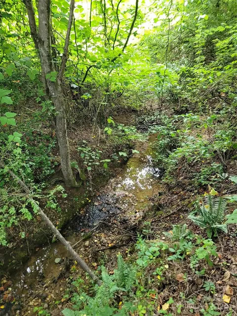 5739 Nc Hwy 9 Hwy, Mill Spring, NC 28756 photo 39