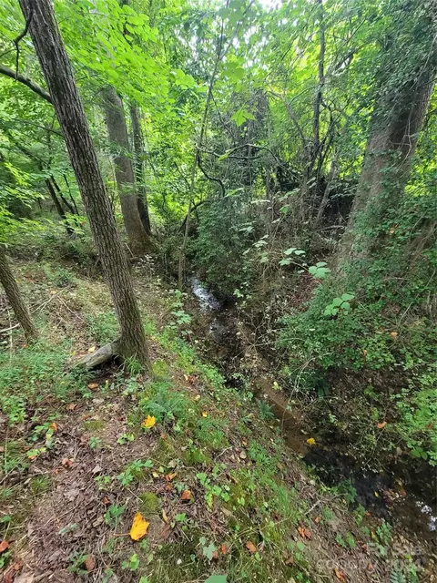 5739 Nc Hwy 9 Hwy, Mill Spring, NC 28756 photo 37